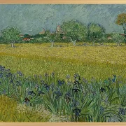 Udsigt over Arles med iriser - 1888