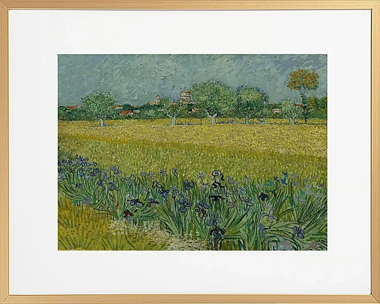 Udsigt over Arles med iriser - 1888