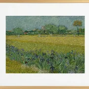 Udsigt over Arles med iriser - 1888