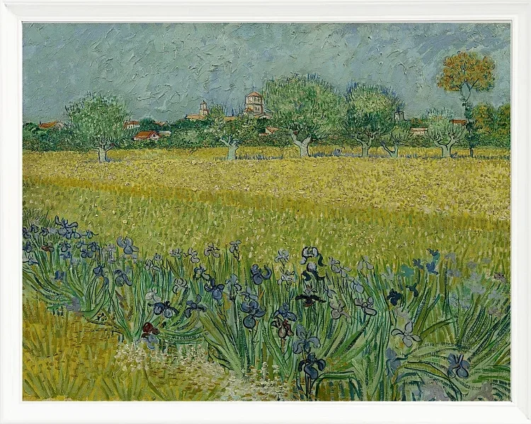 Udsigt over Arles med iriser - 1888