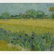 Udsigt over Arles med iriser - 1888