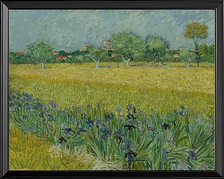 Udsigt over Arles med iriser - 1888