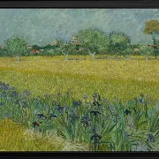 Udsigt over Arles med iriser - 1888