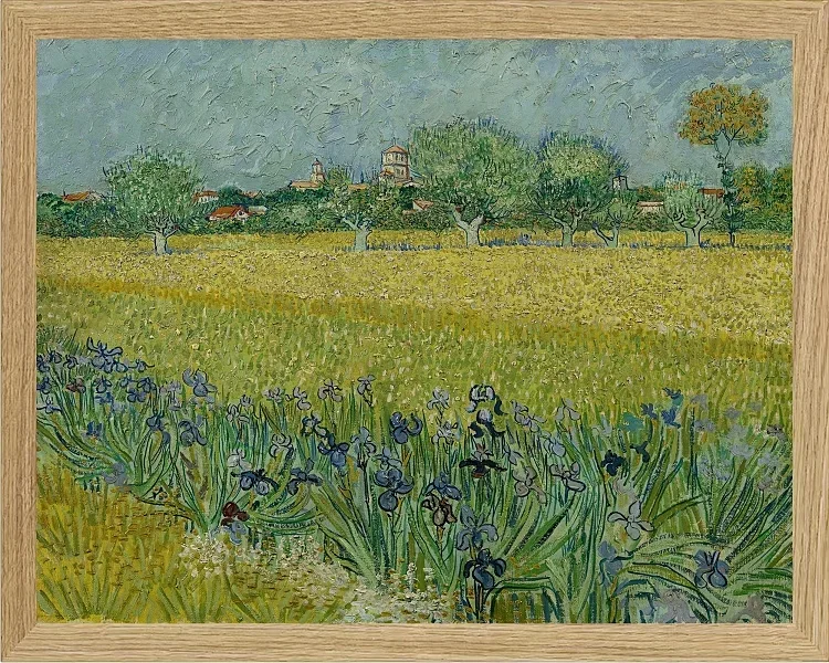 Udsigt over Arles med iriser - 1888