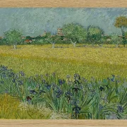 Udsigt over Arles med iriser - 1888