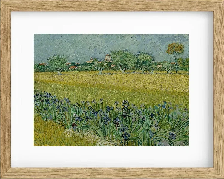 Udsigt over Arles med iriser - 1888