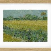 Udsigt over Arles med iriser - 1888