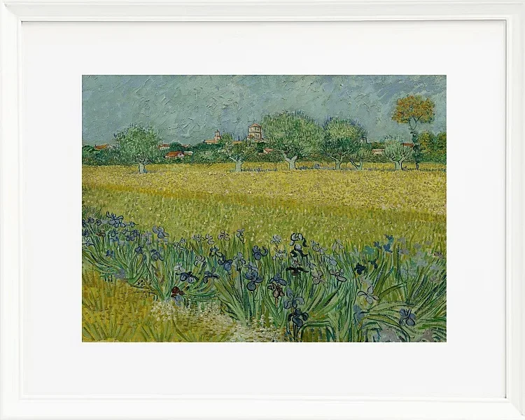Udsigt over Arles med iriser - 1888