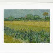 Udsigt over Arles med iriser - 1888