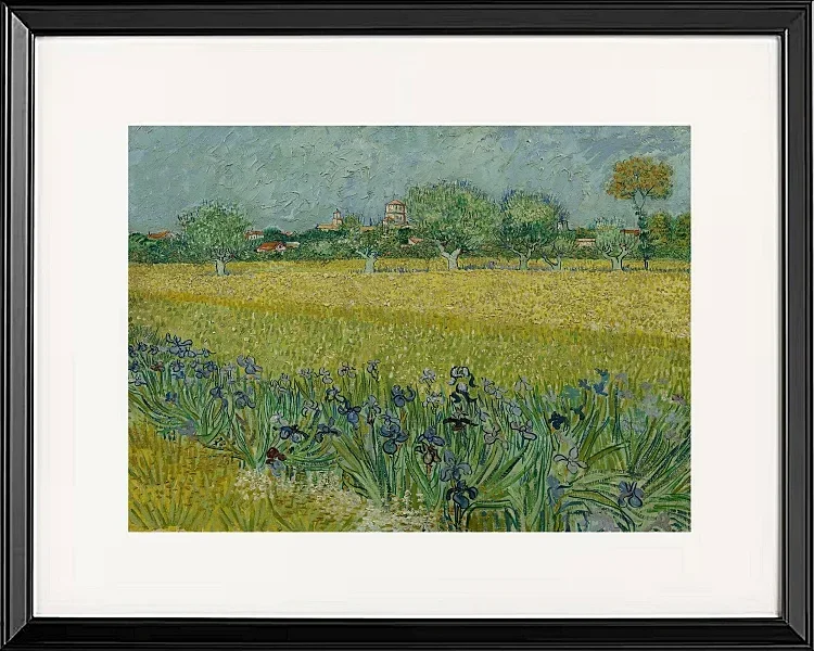 Udsigt over Arles med iriser - 1888
