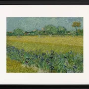 Udsigt over Arles med iriser - 1888