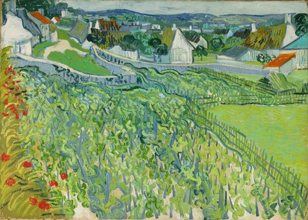 Weinberge bei Auvers - 1890