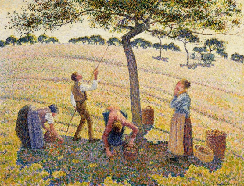 Camille Pissarro - Æblehøst 1888 | Indrammet giclée-kunsttryk