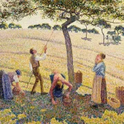 Camille Pissarro - Æblehøst 1888 | Indrammet giclée-kunsttryk