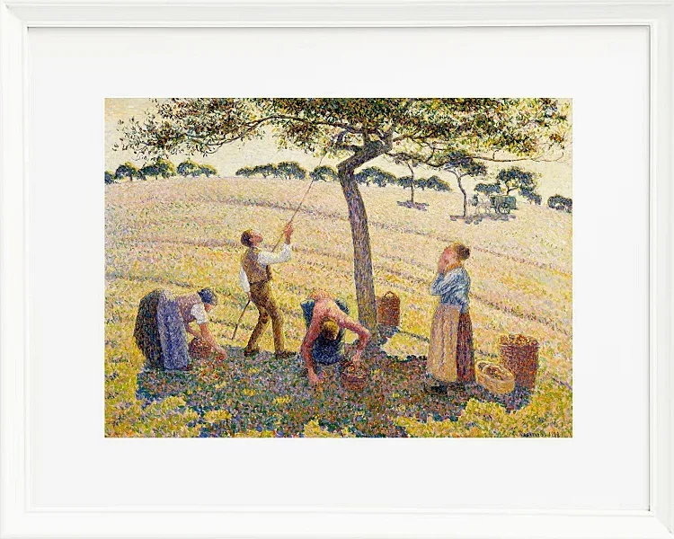Camille Pissarro - Æblehøst 1888 | Indrammet giclée-kunsttryk