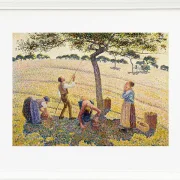 Camille Pissarro - Æblehøst 1888 | Indrammet giclée-kunsttryk