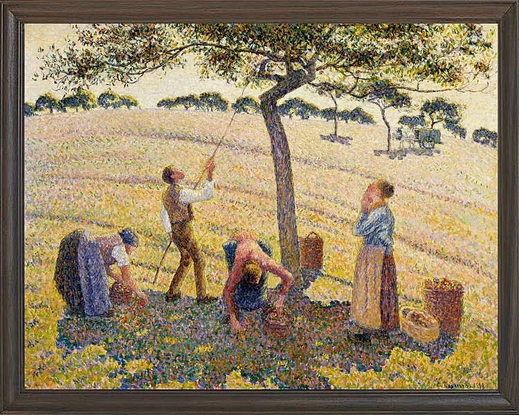 Camille Pissarro - Æblehøst 1888 | Indrammet giclée-kunsttryk