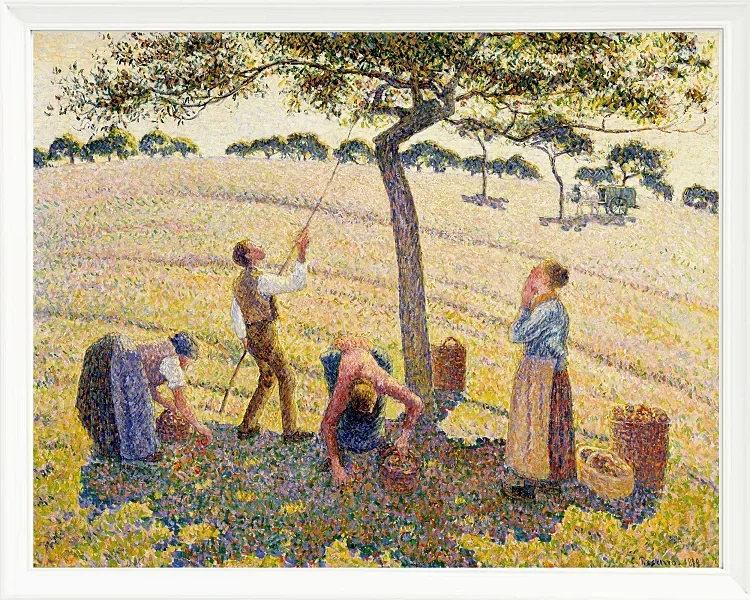 Camille Pissarro - Æblehøst 1888 | Indrammet giclée-kunsttryk