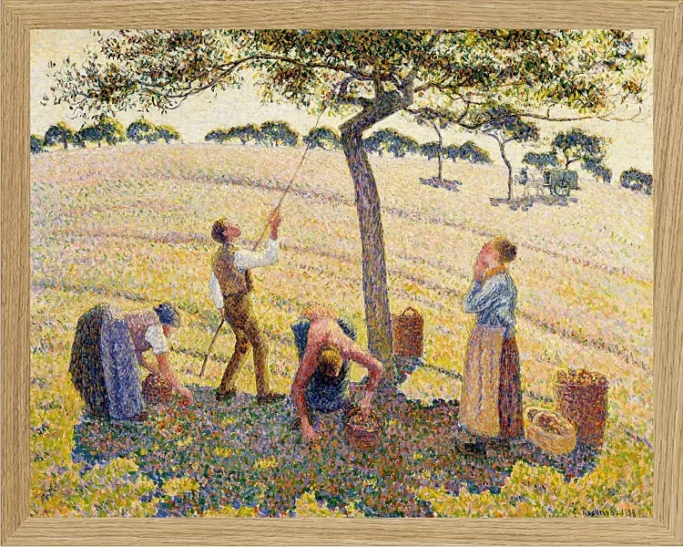 Camille Pissarro - Æblehøst 1888 | Indrammet giclée-kunsttryk