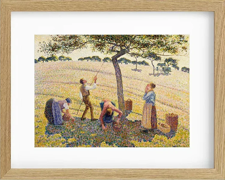 Camille Pissarro - Æblehøst 1888 | Indrammet giclée-kunsttryk