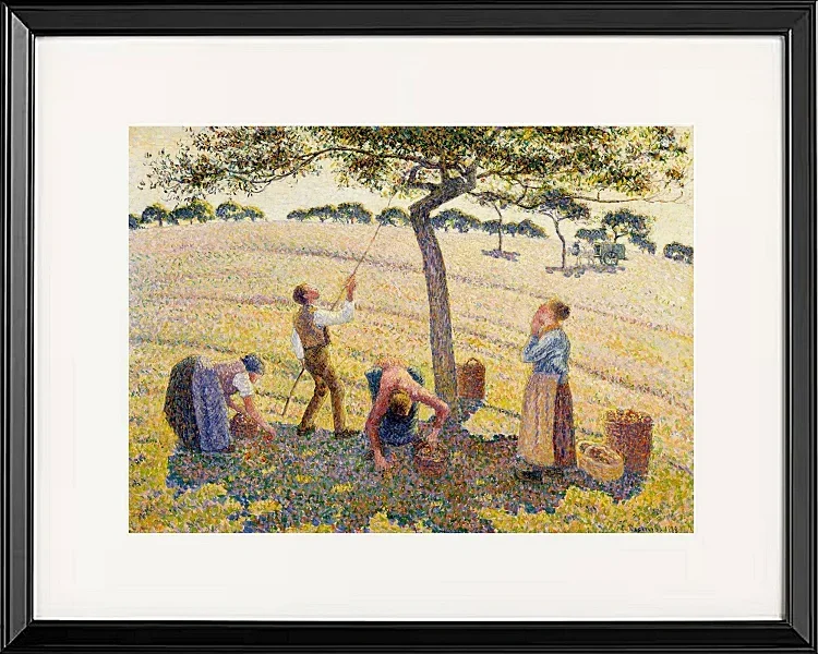 Camille Pissarro - Æblehøst 1888 | Indrammet giclée-kunsttryk