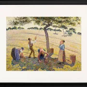 Camille Pissarro - Æblehøst 1888 | Indrammet giclée-kunsttryk