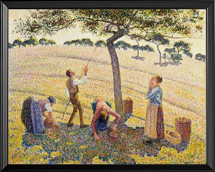 Camille Pissarro - Æblehøst 1888 | Indrammet giclée-kunsttryk
