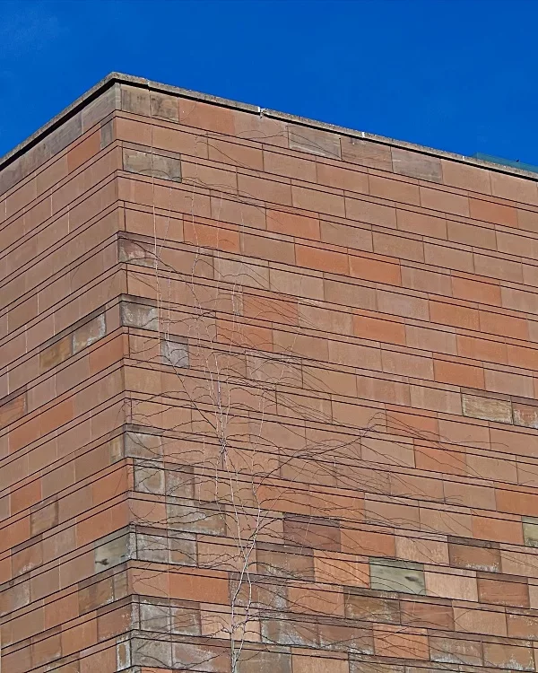 Architektur - 1001
