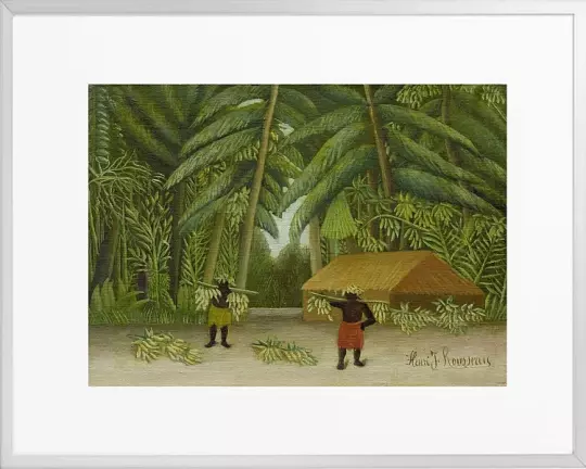 Bananenernte – 1907