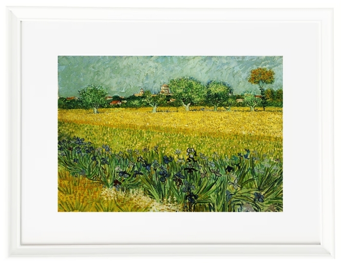 Field with flowers near Arles - 1888