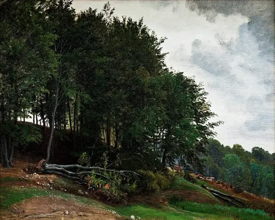 Bewaldete Hügel – 1864