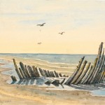 Wrack am Strand Nordstranden - 1832