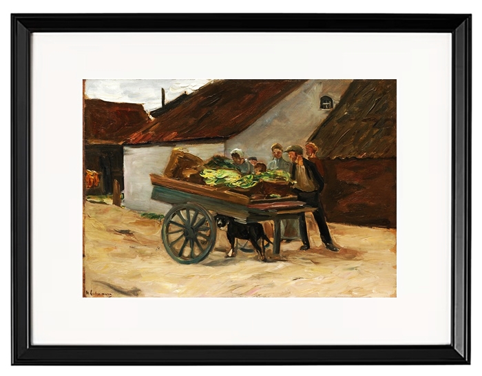 Vegetable barrow, dog cart - 1906