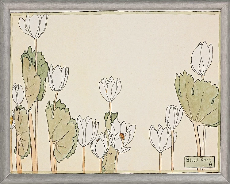 Blodrot - 1915