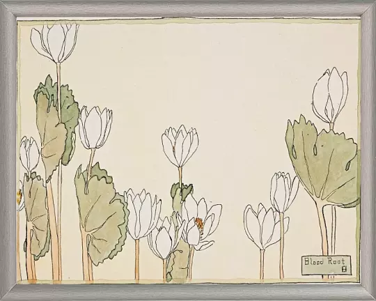 Blodrot - 1915