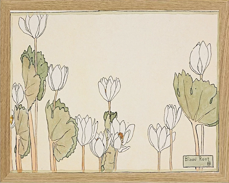 Blodrot - 1915