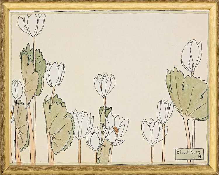 Blodrot - 1915