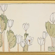 Blodrot - 1915