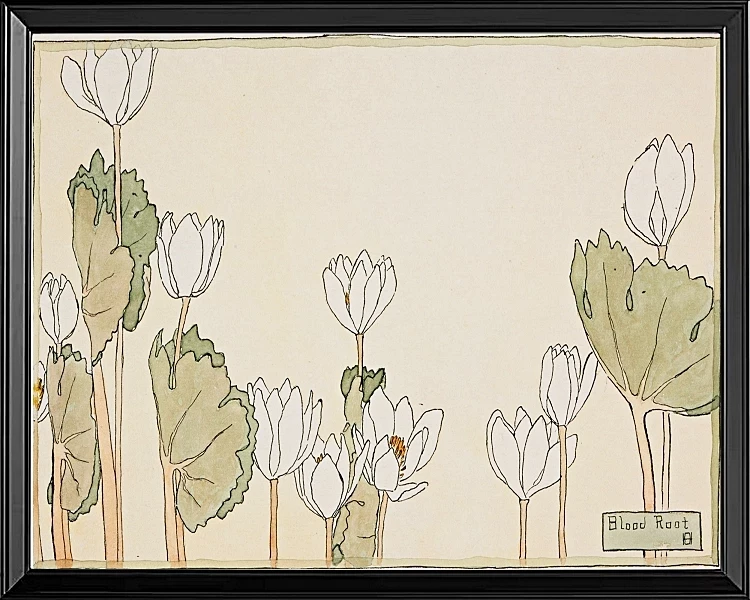Blodrot - 1915