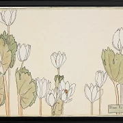 Blodrot - 1915