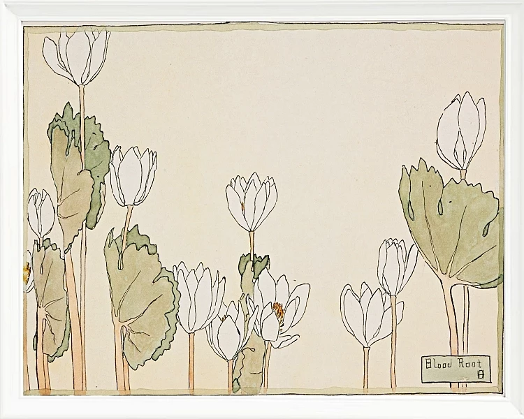 Blodrot - 1915