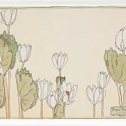 Blodrot - 1915