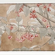 Brennender Busch - 1915
