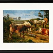 Brüllende Kühe am Zauntor – 1847