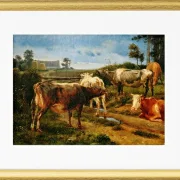 Brüllende Kühe am Zauntor – 1847