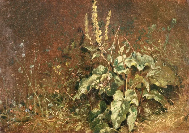 Carl Spitzweg | Stauder, mullein og græsser - 1845 | Indrammet kunsttryk | Romantik | formida