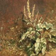 Carl Spitzweg | Stauder, mullein og græsser - 1845 | Indrammet kunsttryk | Romantik | formida