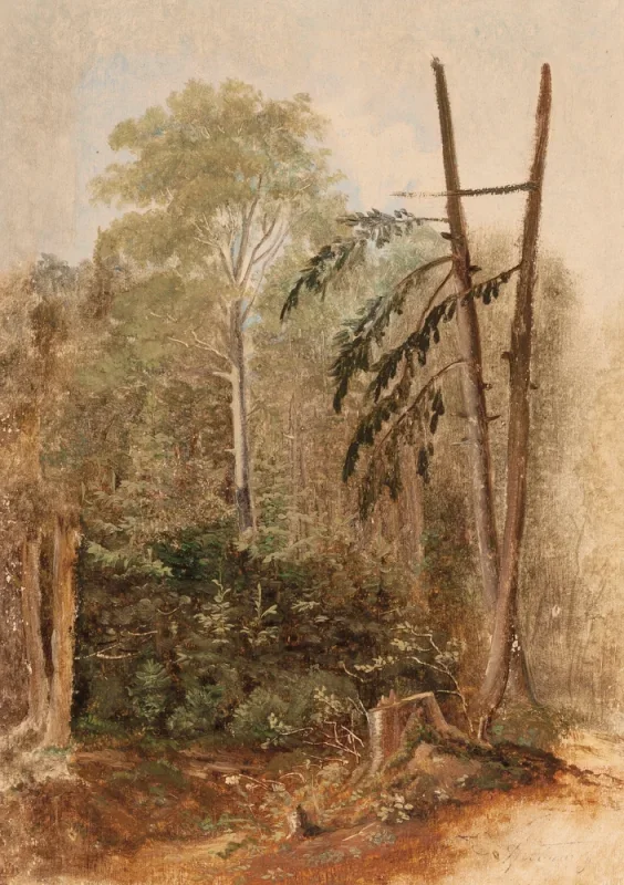 Carl Spitzweg | Studie af et skovlandskab - 1846 | Indrammet kunsttryk | Romantik | formida