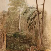 Carl Spitzweg | Studie af et skovlandskab - 1846 | Indrammet kunsttryk | Romantik | formida
