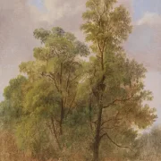 Carl Spitzweg | Træstudie - 1835 | Indrammet kunsttryk | Romantik | formida